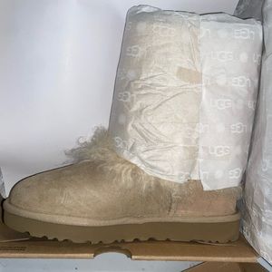 UGG SHORT SHEEPSKIN CUFF BOOT